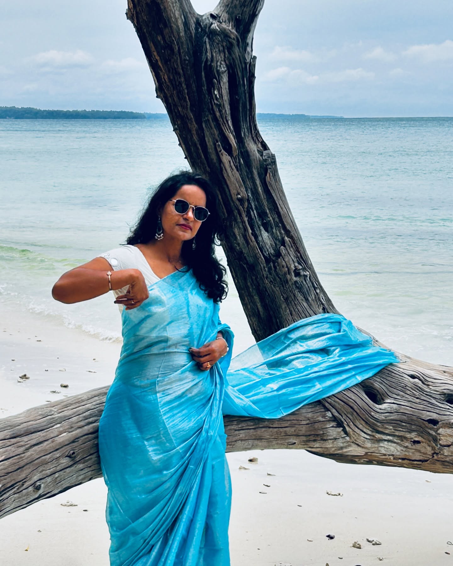 Raaga Tissue Saree – Effortlessly Elegant - Image 6