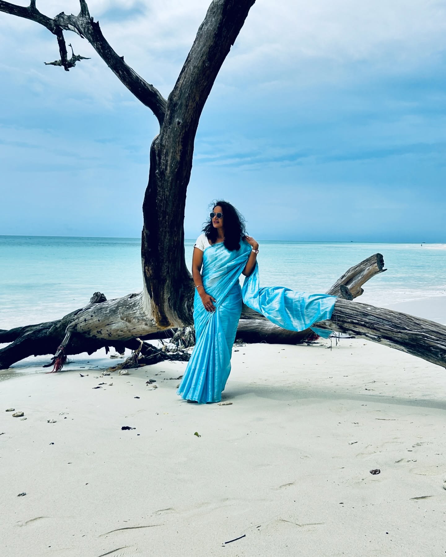 Raaga Tissue Saree – Effortlessly Elegant - Image 5