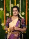 Pochampally FusionTraditional Saree