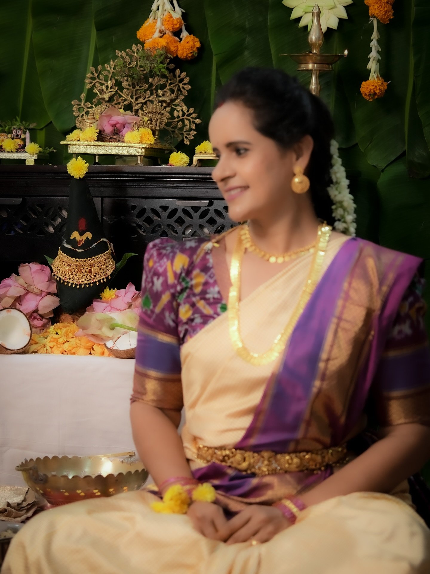 Pochampally FusionTraditional Saree - Image 4