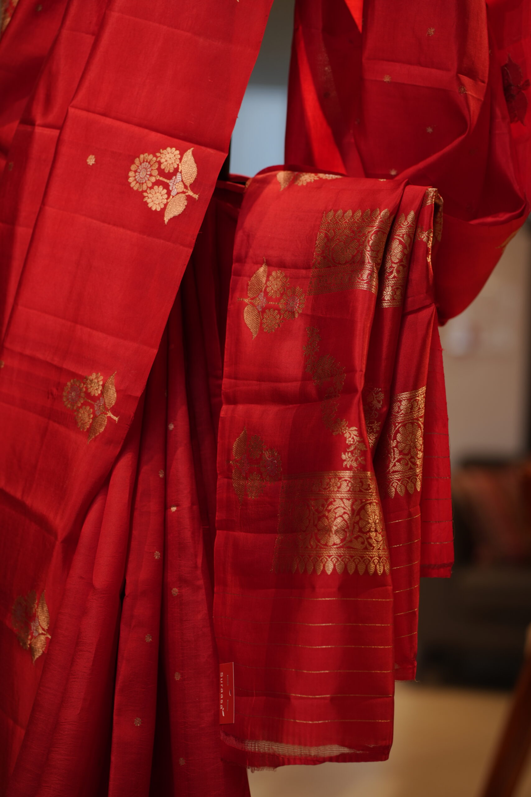 Banarasi Raw mango - Image 4