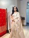 Brocade Banarasi silver