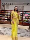 Banarasi tissue petit neon green